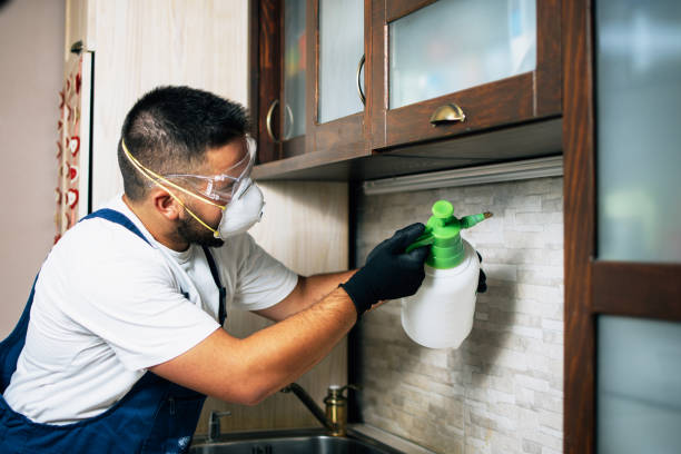 Best Bed Bug Extermination  in Washington Heights, NY