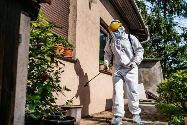 Best Pest Control for Homes  in Washington Heights, NY