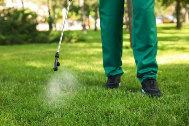 Trusted Washington Heights, NY Pest Control Experts