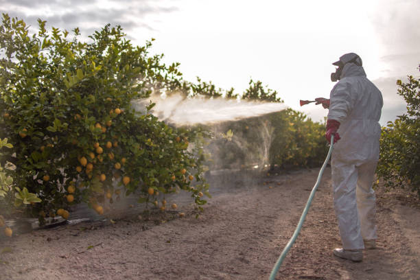 Insect Control in Washington Heights, NY