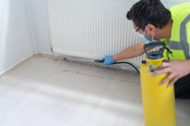  Washington Heights, NY Pest Control Pros